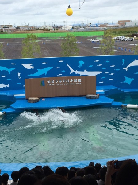仙台うみの杜水族館