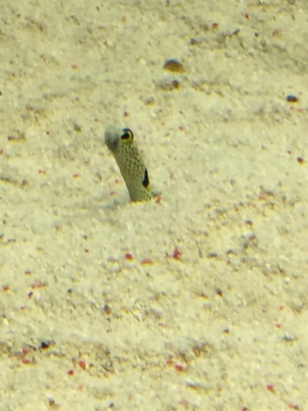 仙台うみの杜水族館