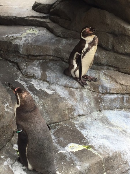 仙台うみの杜水族館