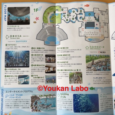 仙台うみの杜水族館