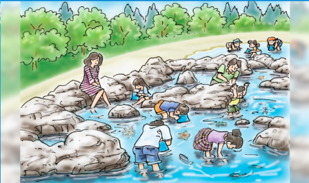 仙台うみの杜水族館