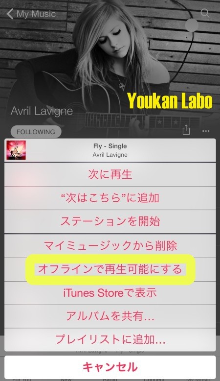 Apple Music5