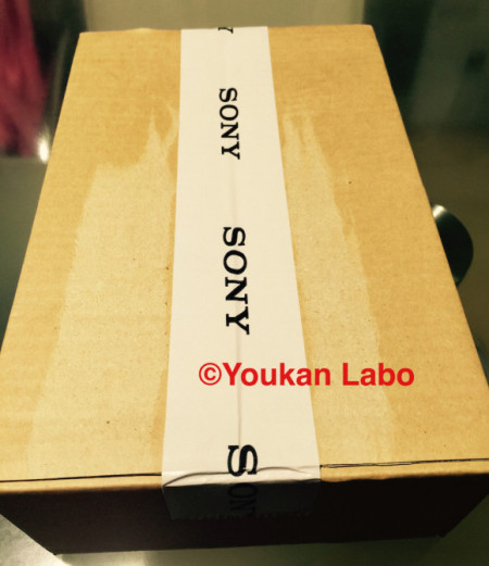 ソニー ウォークマンA NW-A16 メタルギア