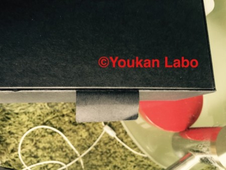 ソニー ウォークマンA NW-A16 メタルギア