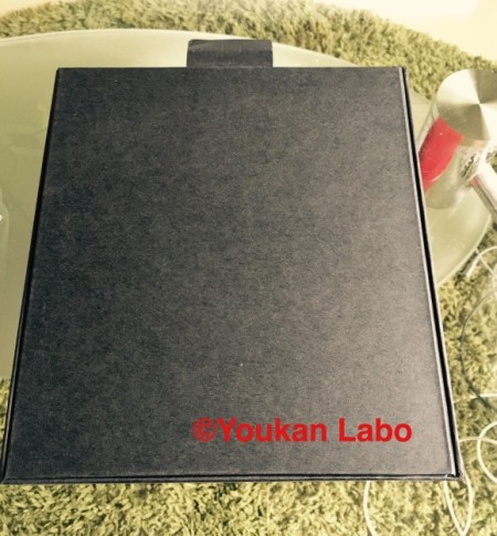 ソニー ウォークマンA NW-A16 メタルギア