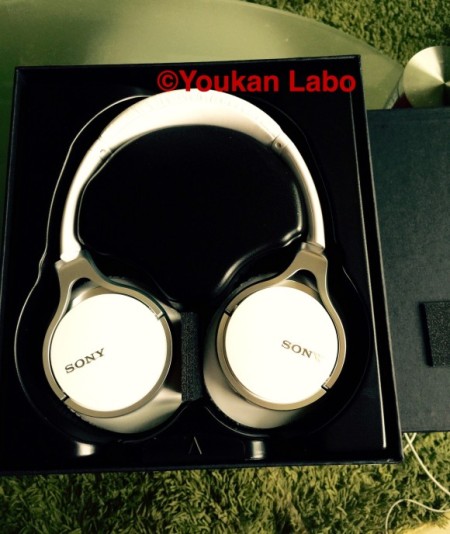 ソニー ウォークマンA NW-A16 メタルギア