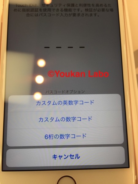 iPhone6S PLUS ローズゴールド Apple Store