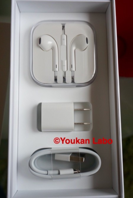 iPhone6S PLUS ローズゴールド