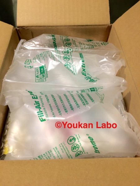 ほぼ日カレンダー2016 気まぐれカレンダー