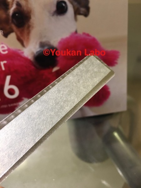 ほぼ日カレンダー2016 気まぐれカレンダー