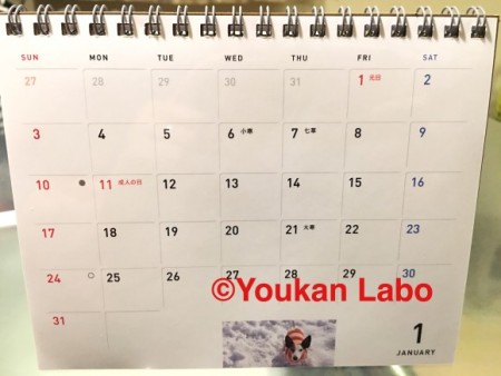 ほぼ日カレンダー2016 気まぐれカレンダー