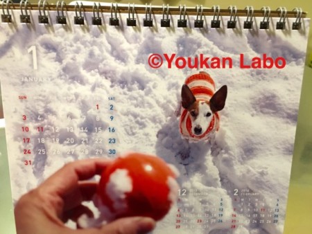 ほぼ日カレンダー2016 気まぐれカレンダー