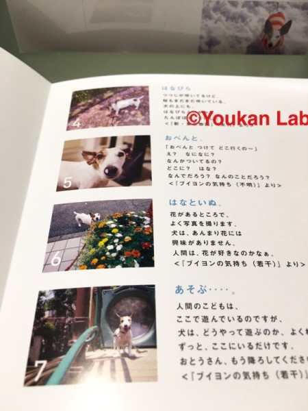 ほぼ日カレンダー2016 気まぐれカレンダー