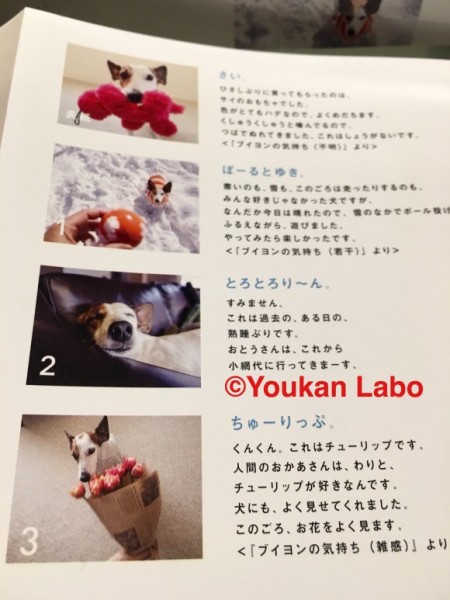 ほぼ日カレンダー2016 気まぐれカレンダー