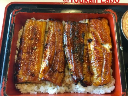 うなぎ 鰻 宮城 京海亭