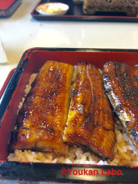 うなぎ 鰻 宮城 京海亭