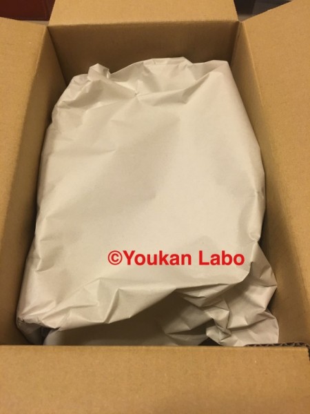 ソニー rx100m3 コンデジ