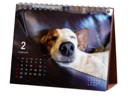 ほぼ日カレンダー2016 気まぐれカレンダー