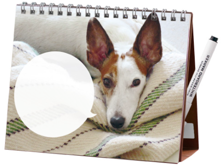 ほぼ日カレンダー2016 気まぐれカレンダー