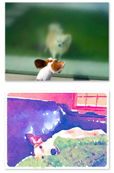 ほぼ日カレンダー2016 気まぐれカレンダー