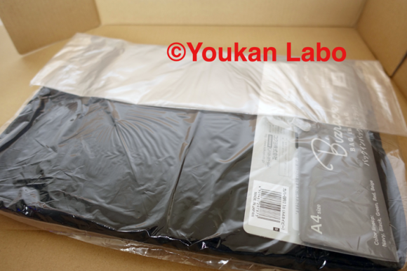 kokuyo-bag-in-bag-2016022802